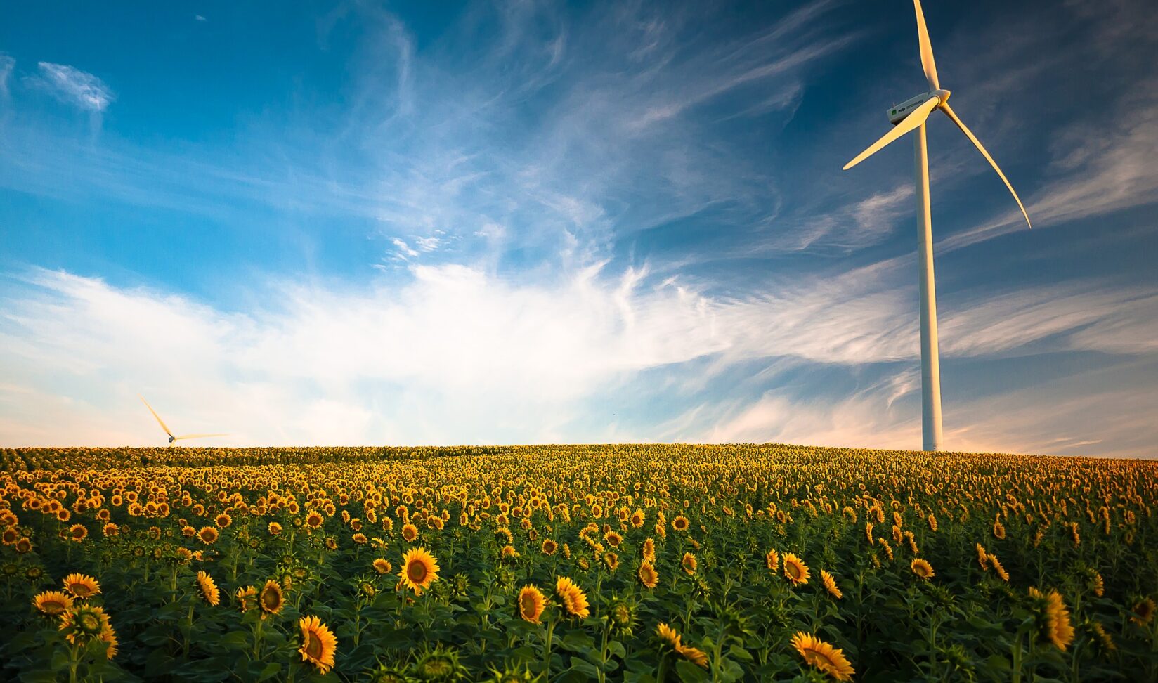 eolien_tournesols-1-aspect-ratio-1648-972.jpg