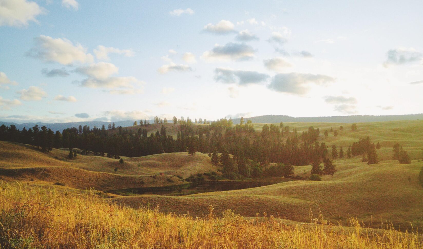 landonparenteau-fields-5935549-aspect-ratio-1648-972.jpg