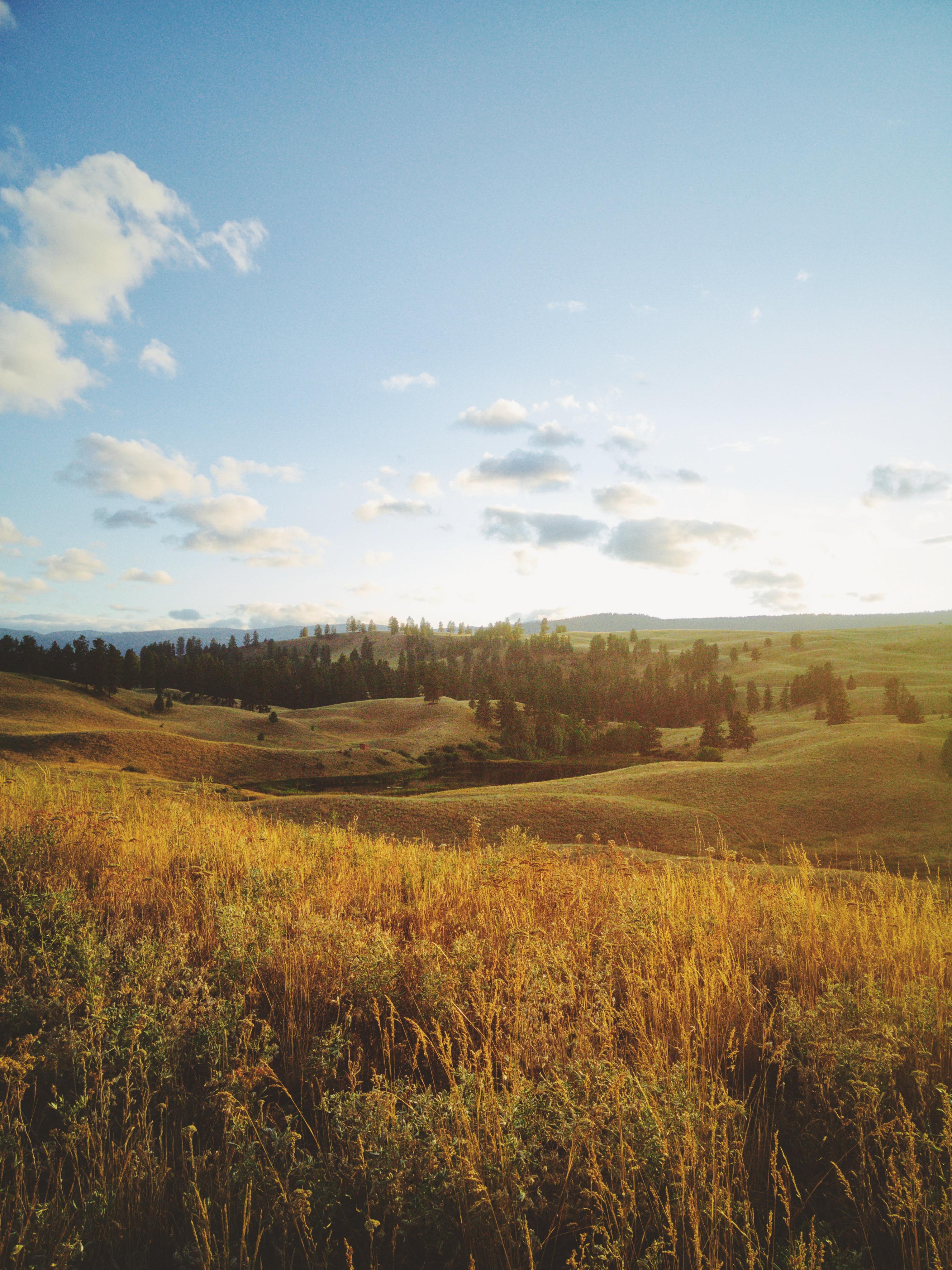 landonparenteau-fields-5935549.jpg